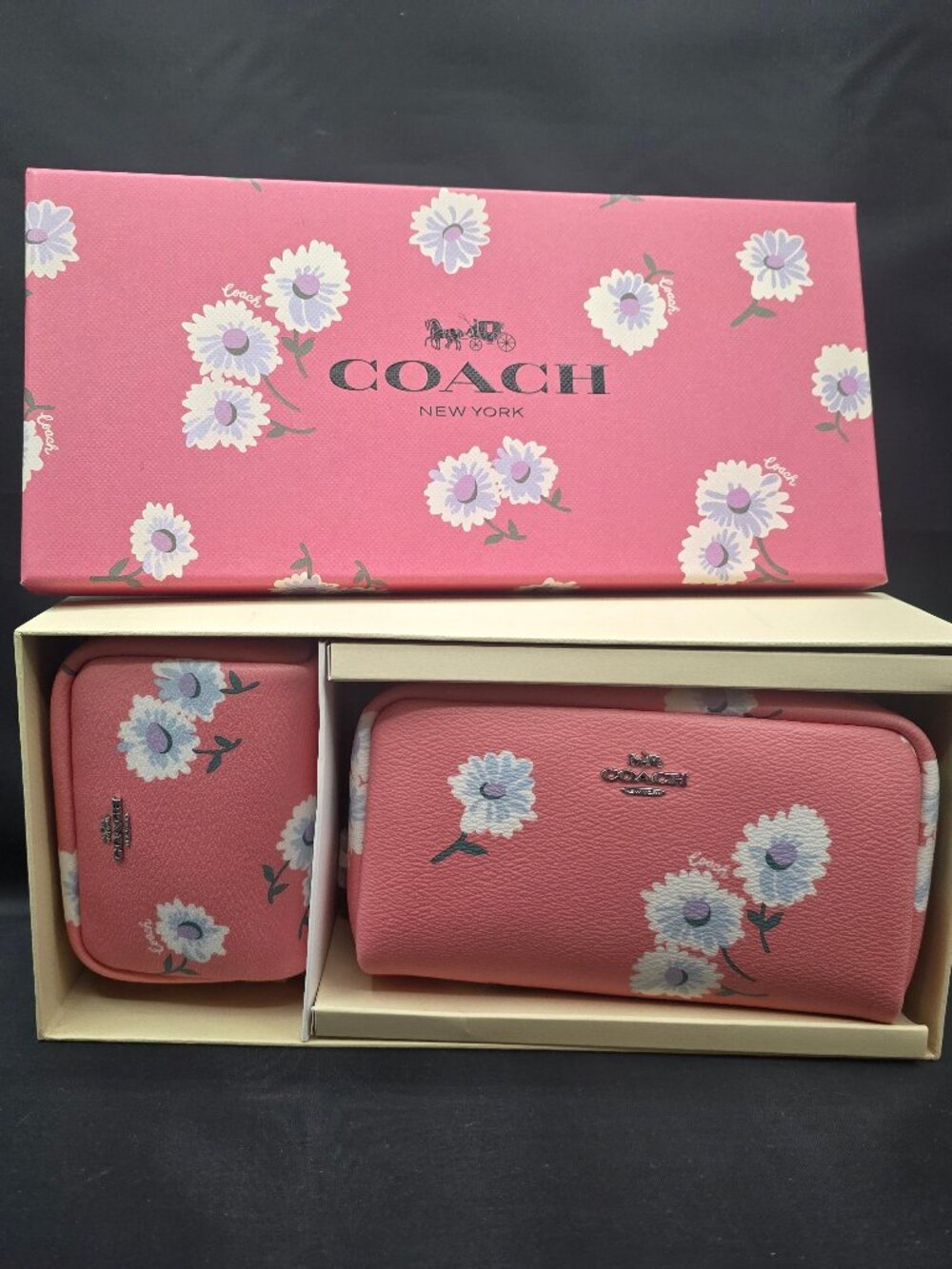 Coach Boxed Small and Mini Boxy Cosmetic Case Set with Daisy Print C3062